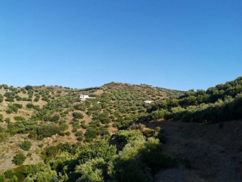 Mochlos Kreta, Mochlos: Baugrundstück mit kleinem Steinhaus zu verkaufen Grundstück kaufen